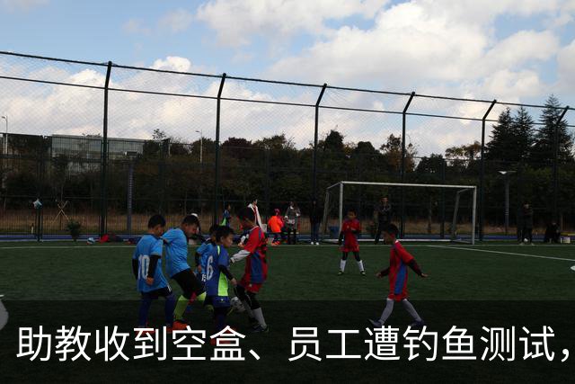 助教收到空盒、员工遭钓鱼测试，尼克斯发声明回应