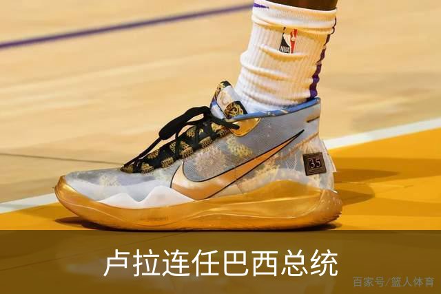 卢拉连任巴西总统
