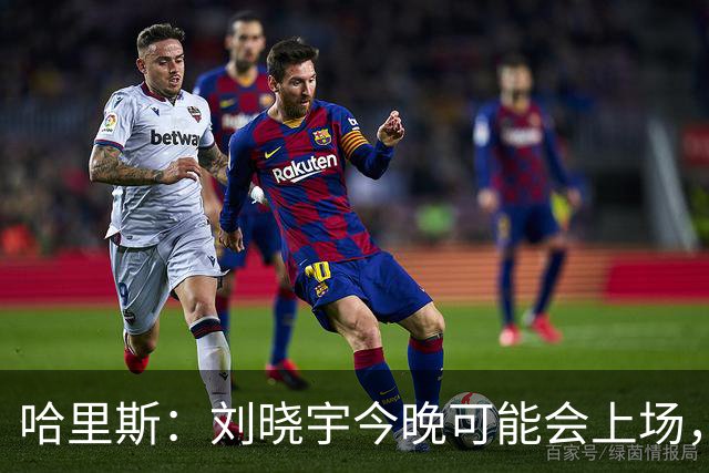 哈里斯：刘晓宇今晚可能会上场，告诉队员我们要一场一场打
