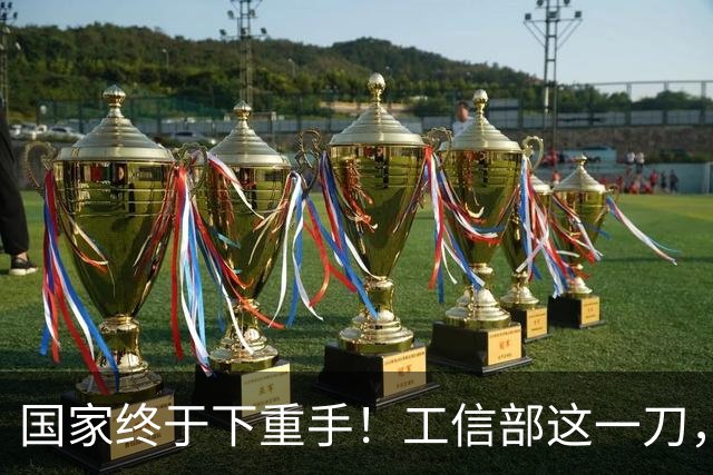 国家终于下重手！工信部这一刀，砍在了“速成车”的大动脉上