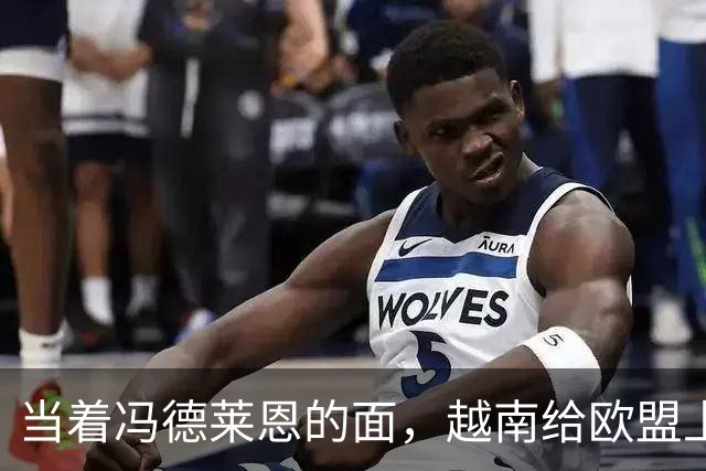 当着冯德莱恩的面，越南给欧盟上了一课：这就是“中国力量”