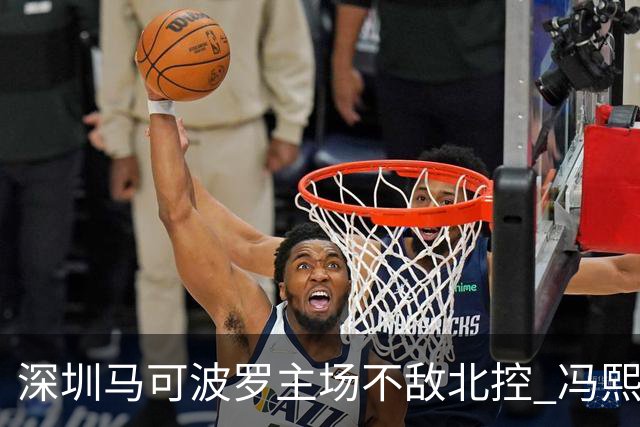 深圳马可波罗主场不敌北控 冯熙瑞逆境打出亮眼表现