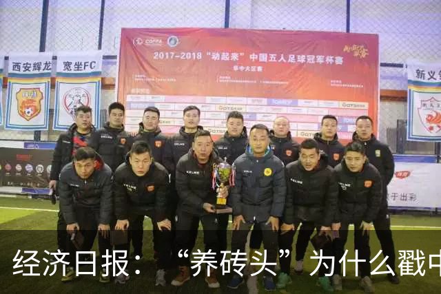 经济日报：“养砖头”为什么戳中年轻人？