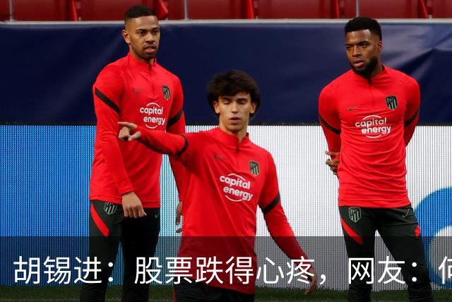 胡锡进：股票跌得心疼，网友：何止心疼，完全是肉疼