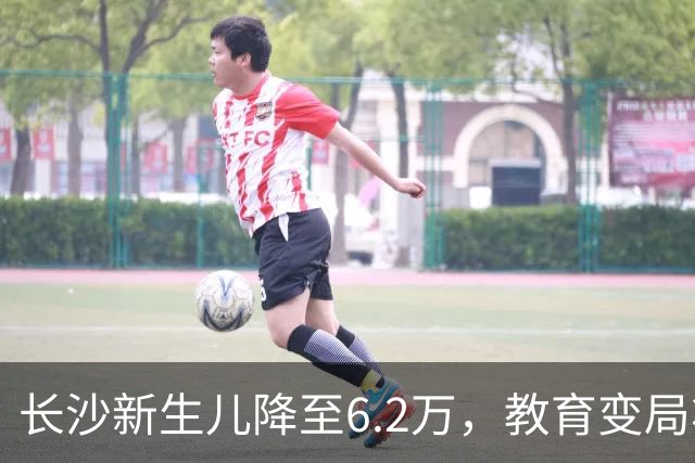 长沙新生儿降至6.2万，教育变局将至？